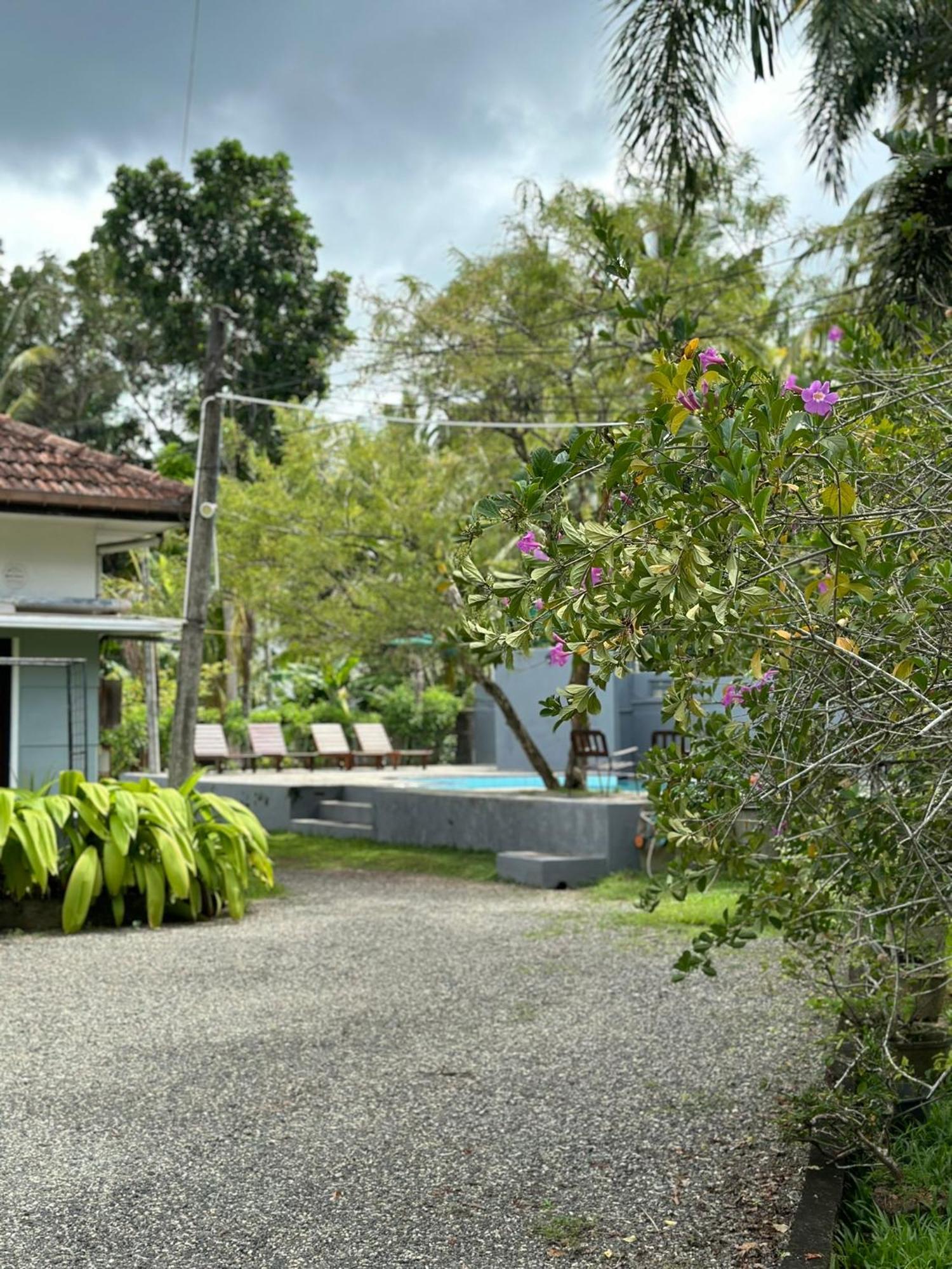 Mango Tree Villa Unawatuna Bagian luar foto